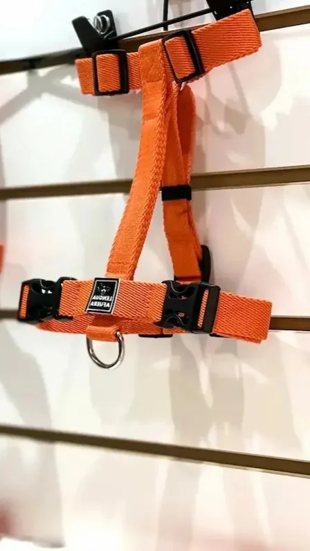 pretales h naranja colgados en la pared