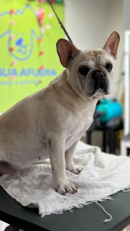 sofia esperndo su turnito