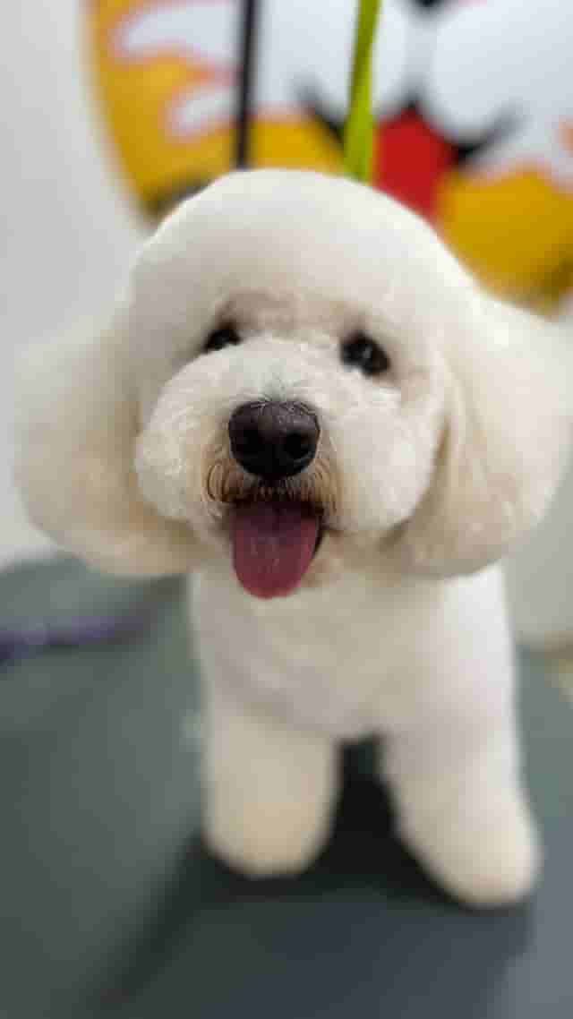 Baxter