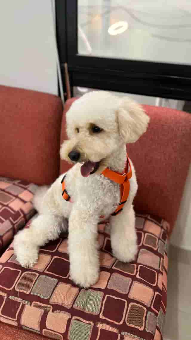 Duffy